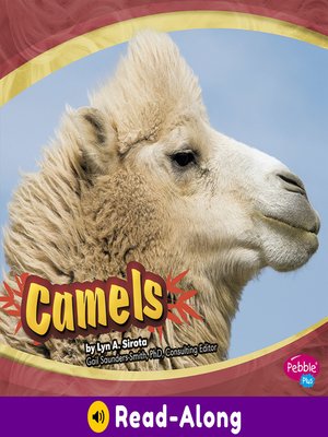 cover image of Camels